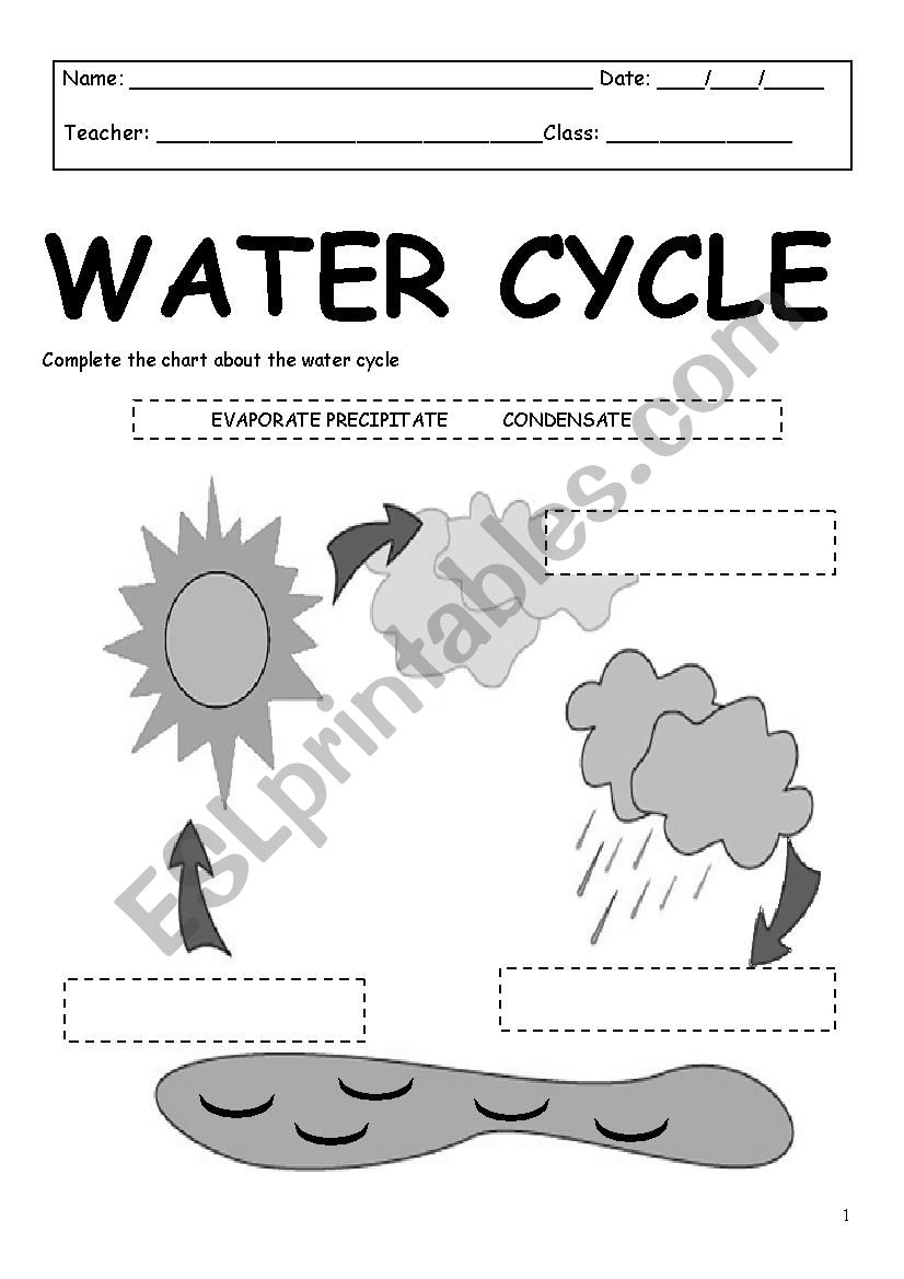 Water Cycle worksheet