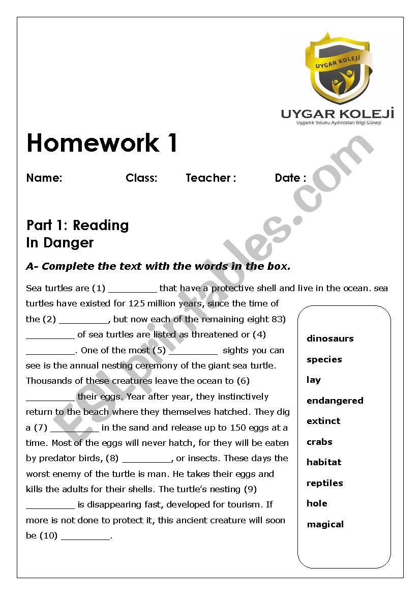 reading worksheet