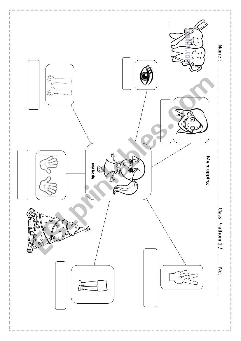 mapping my body worksheet