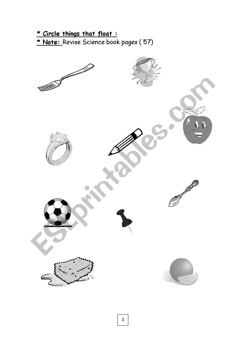 science worksheets for kg worksheet