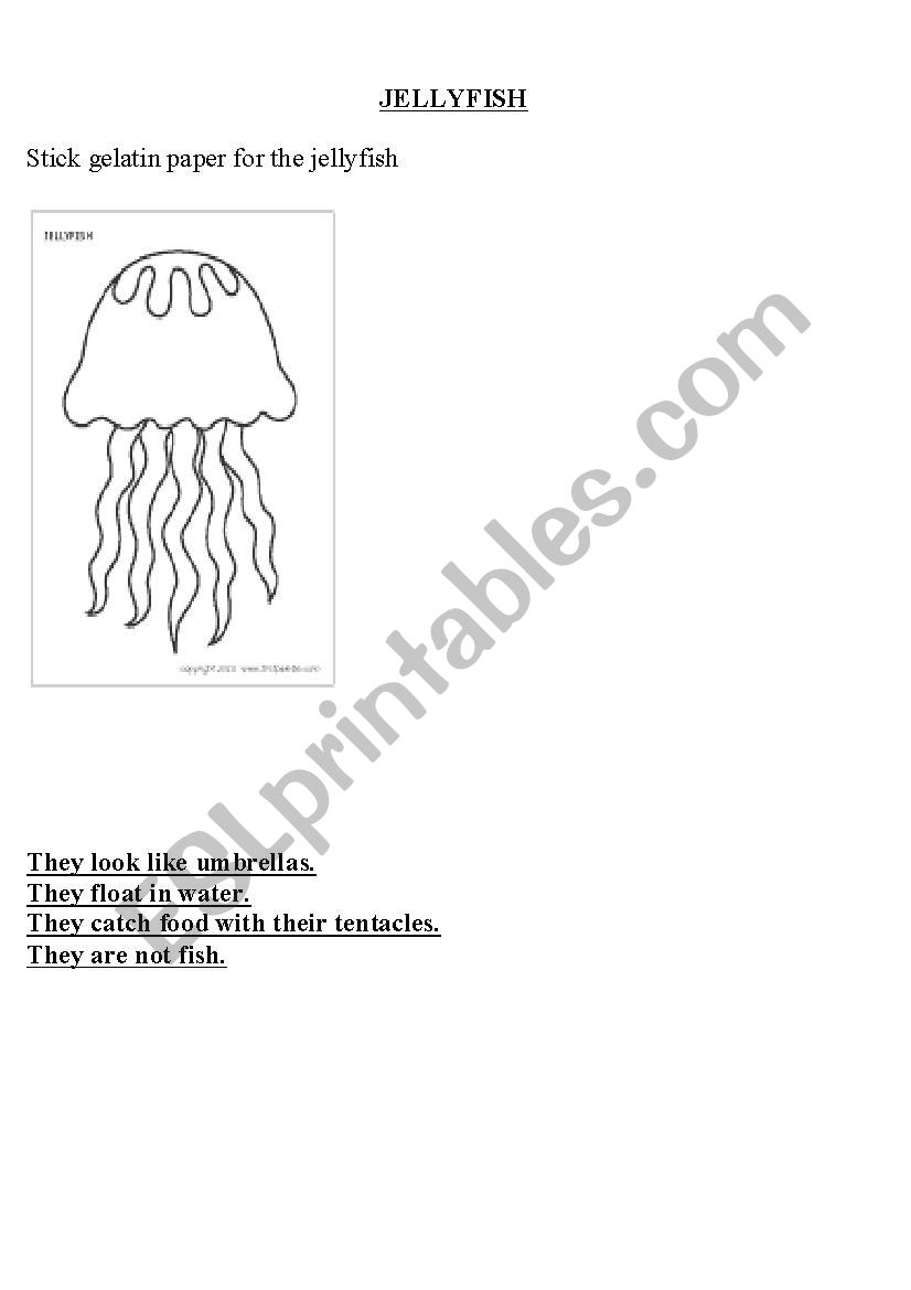 jellyfish worksheet
