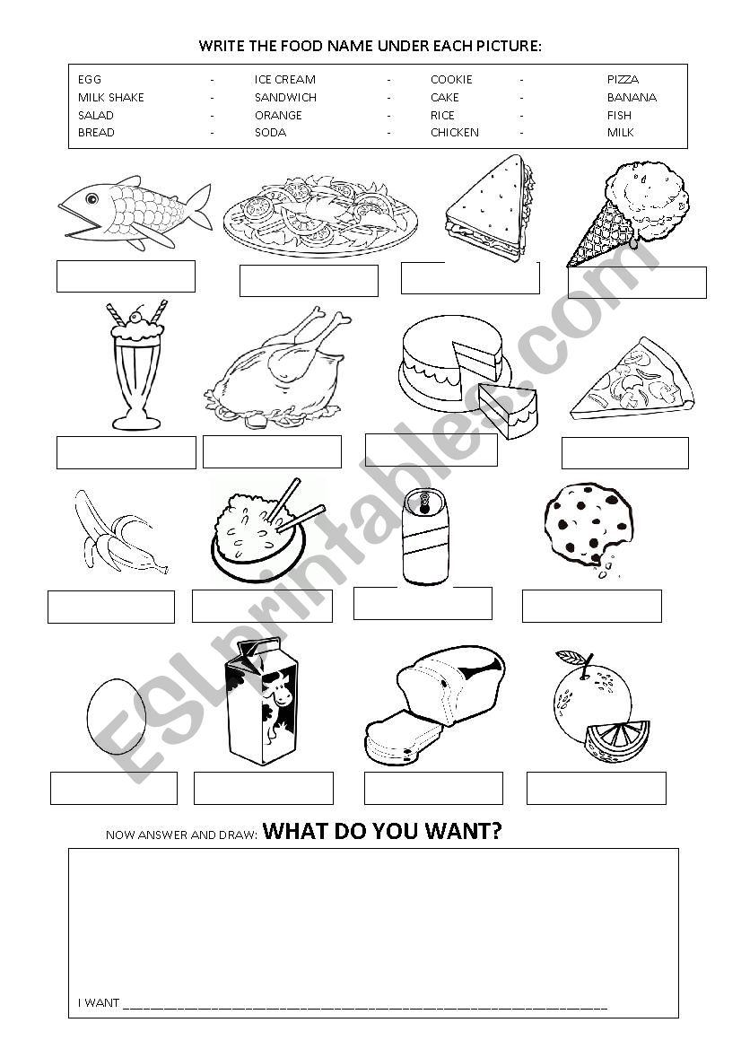 FOOD  worksheet