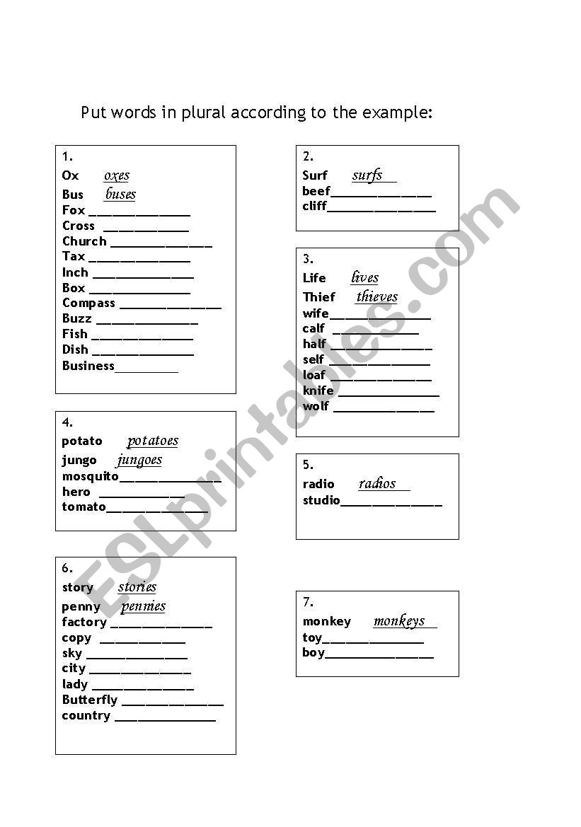 Plural Rules  worksheet