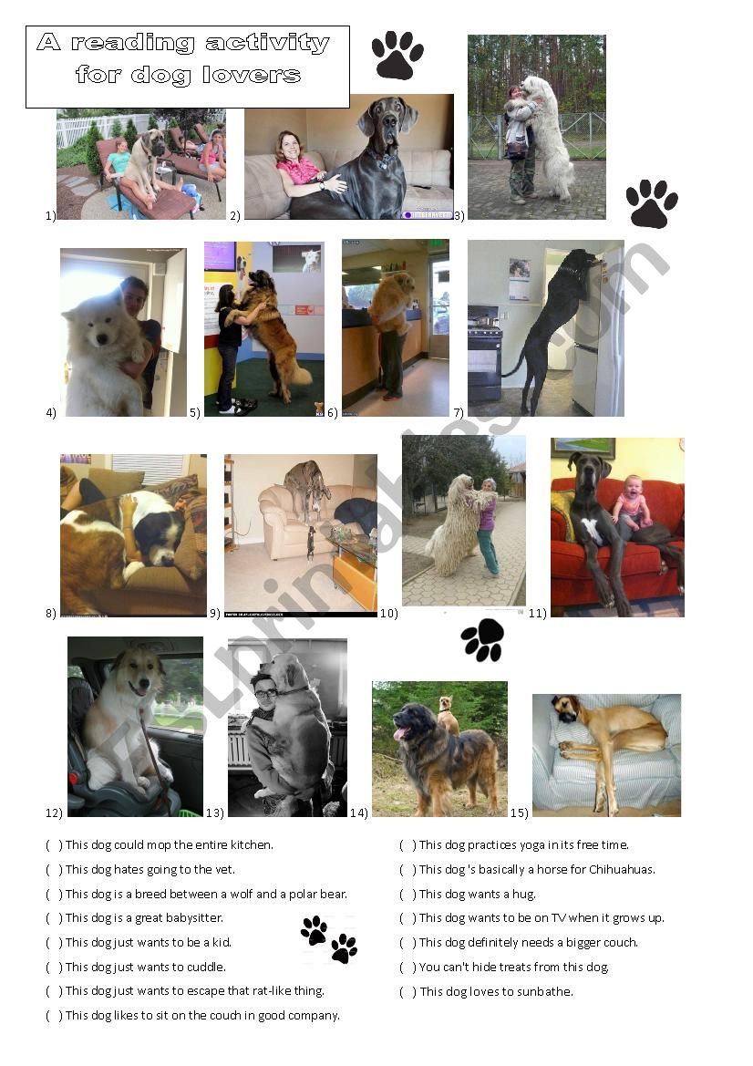 A reading activity for dog lovers