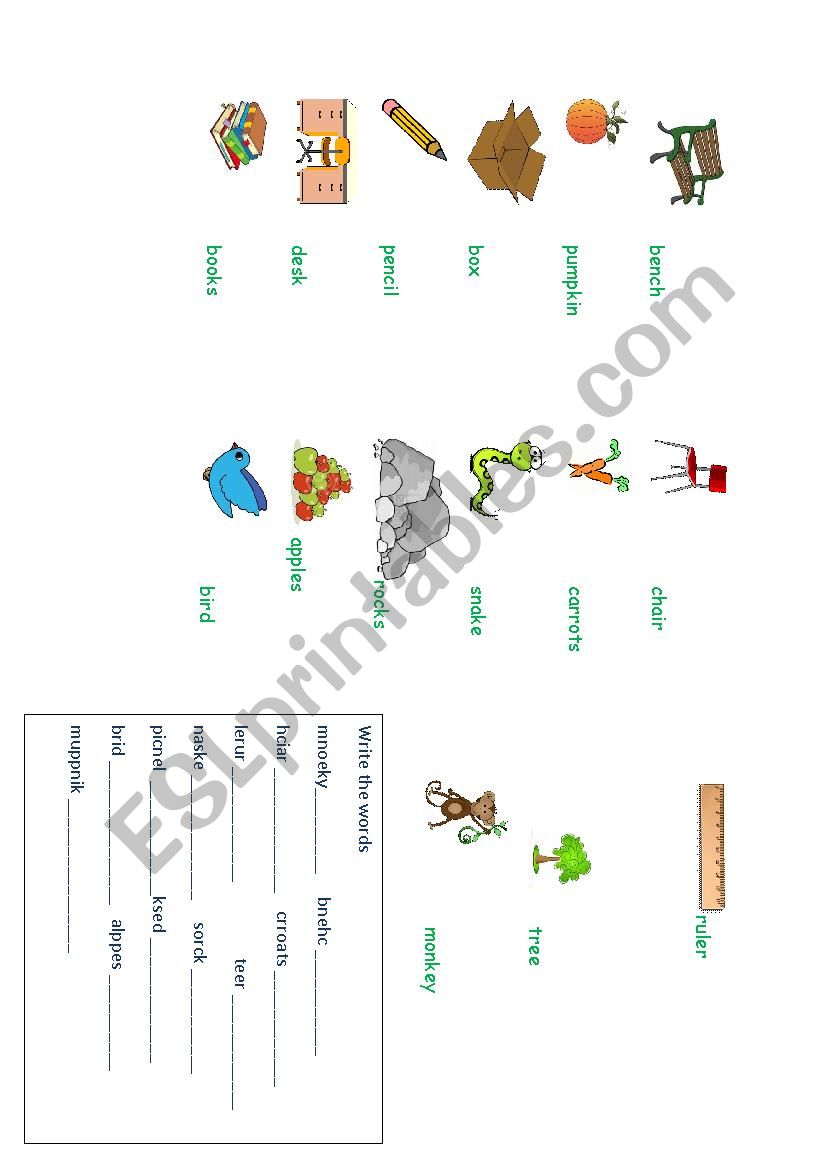 prepositions of place worksheet