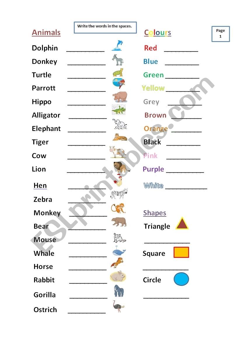 Animals, Colours, Clothes, Shapes worksheet.