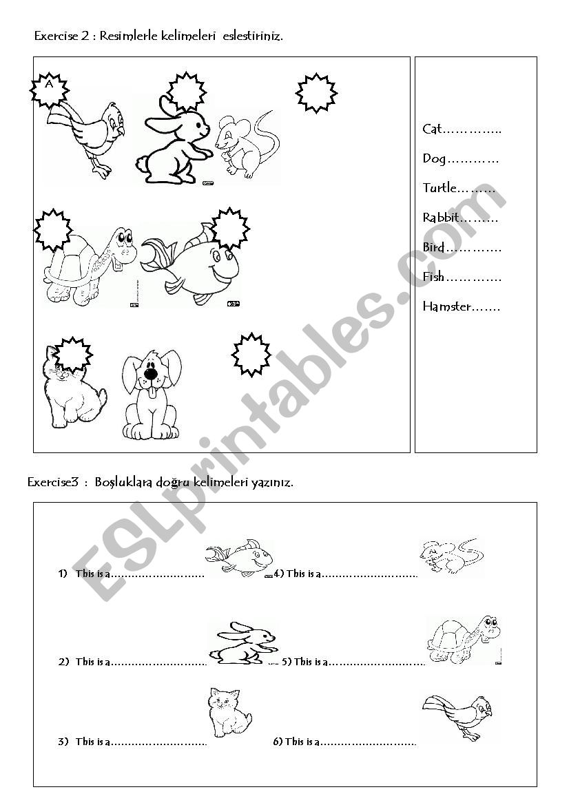 pets worksheet