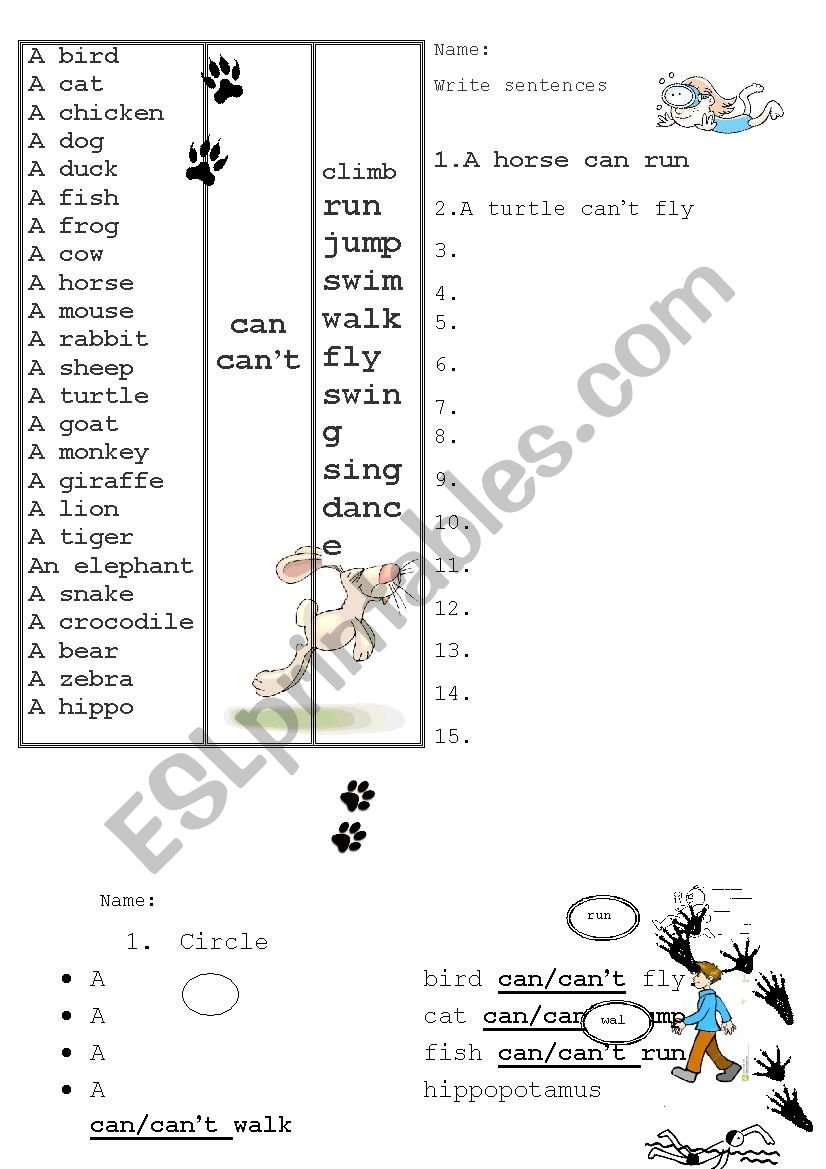 animals and can worksheet