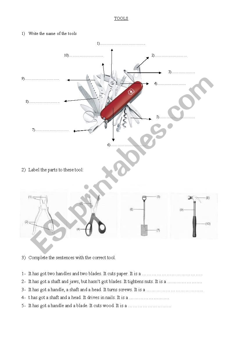 tools 1 worksheet