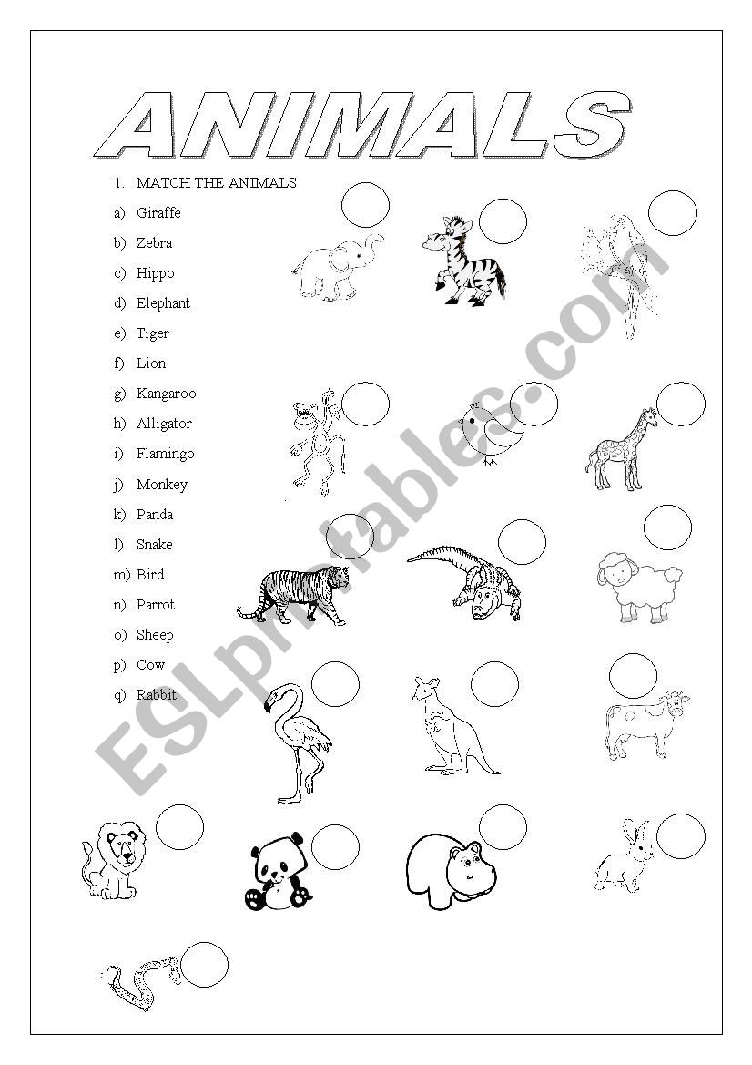 animals  worksheet