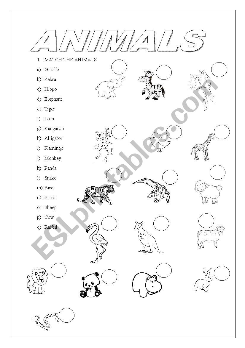 animals  worksheet