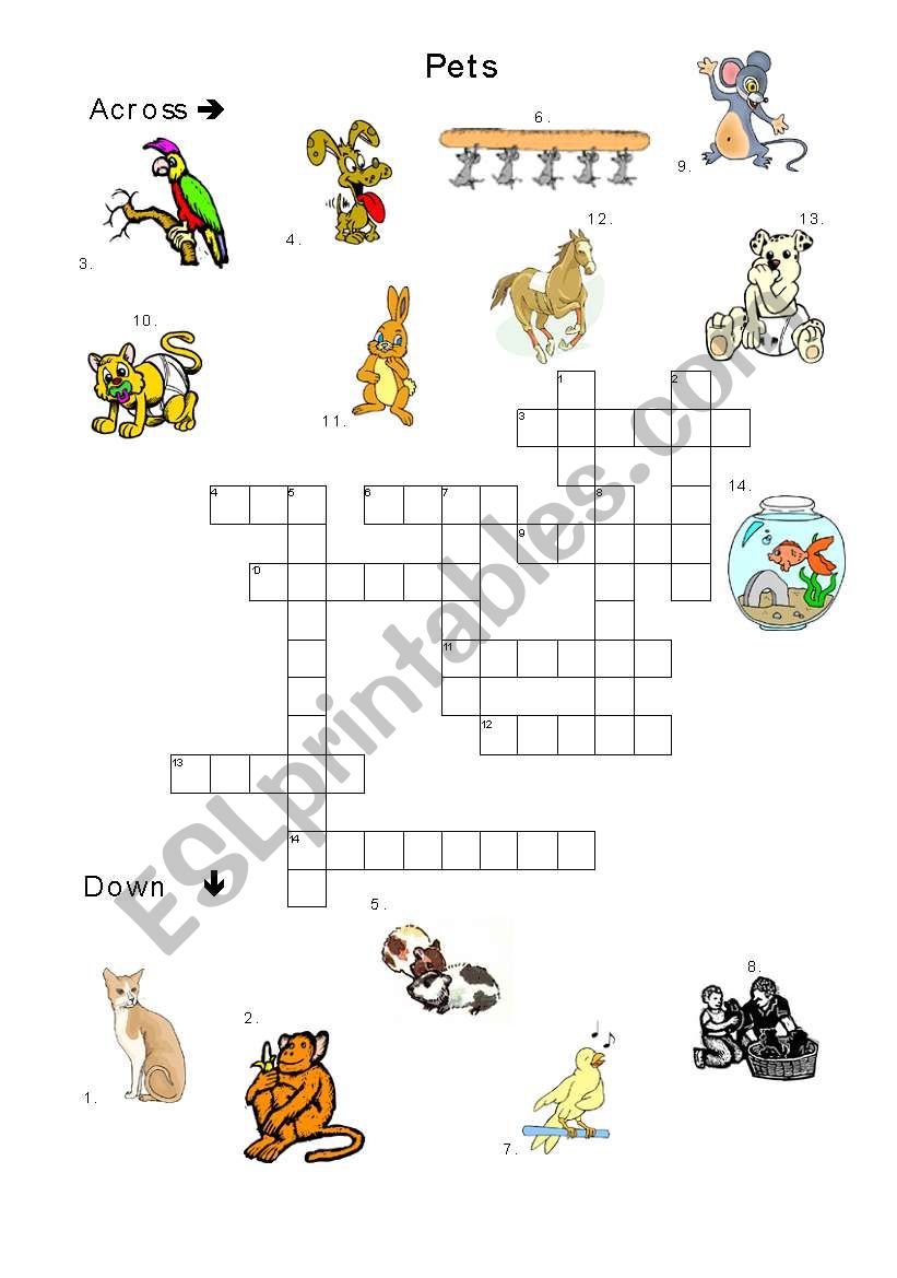 pet crosswords worksheet