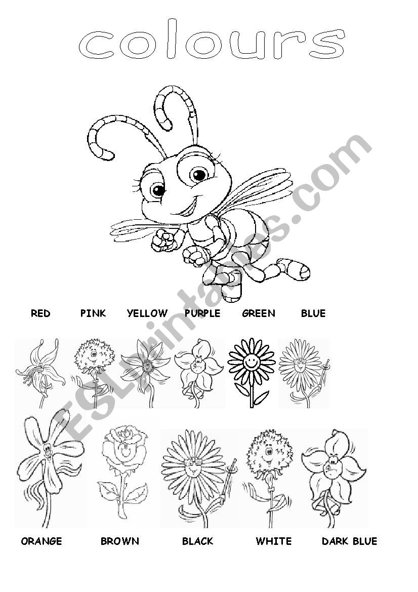 COLOUR THE FLOWER!! worksheet