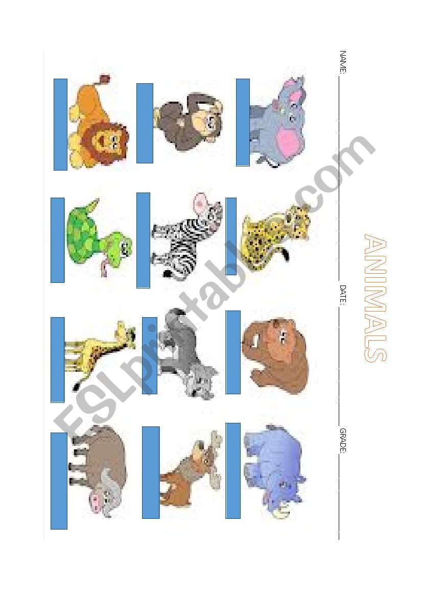 WILD ANIMALS worksheet