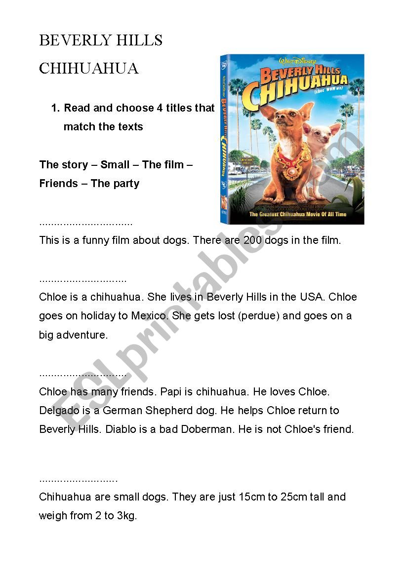 Beverly hills Chihuahua worksheet