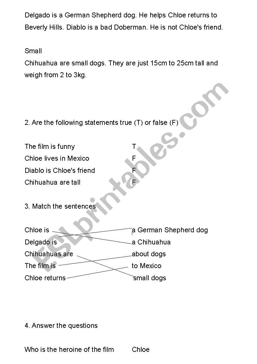 Beverly Hills Chihuahua Esl Worksheet By Mariegligli - beverly hills chihuahuas chihuahua full song roblox id
