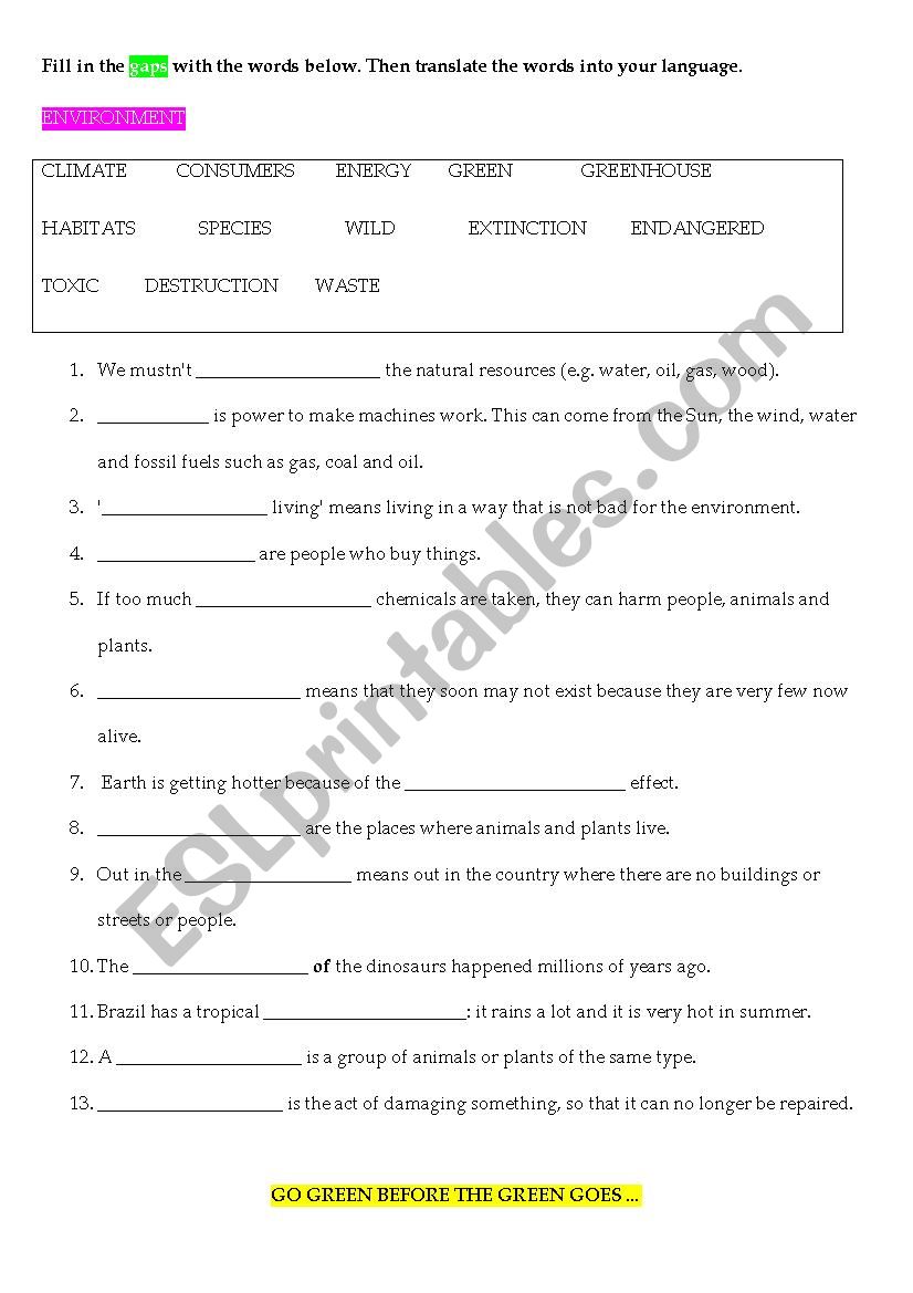 environment worksheet