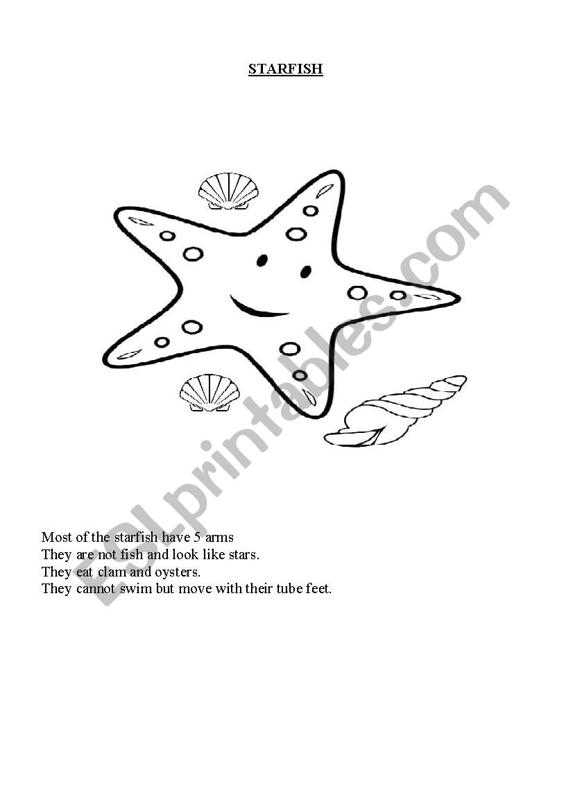 starfish worksheet