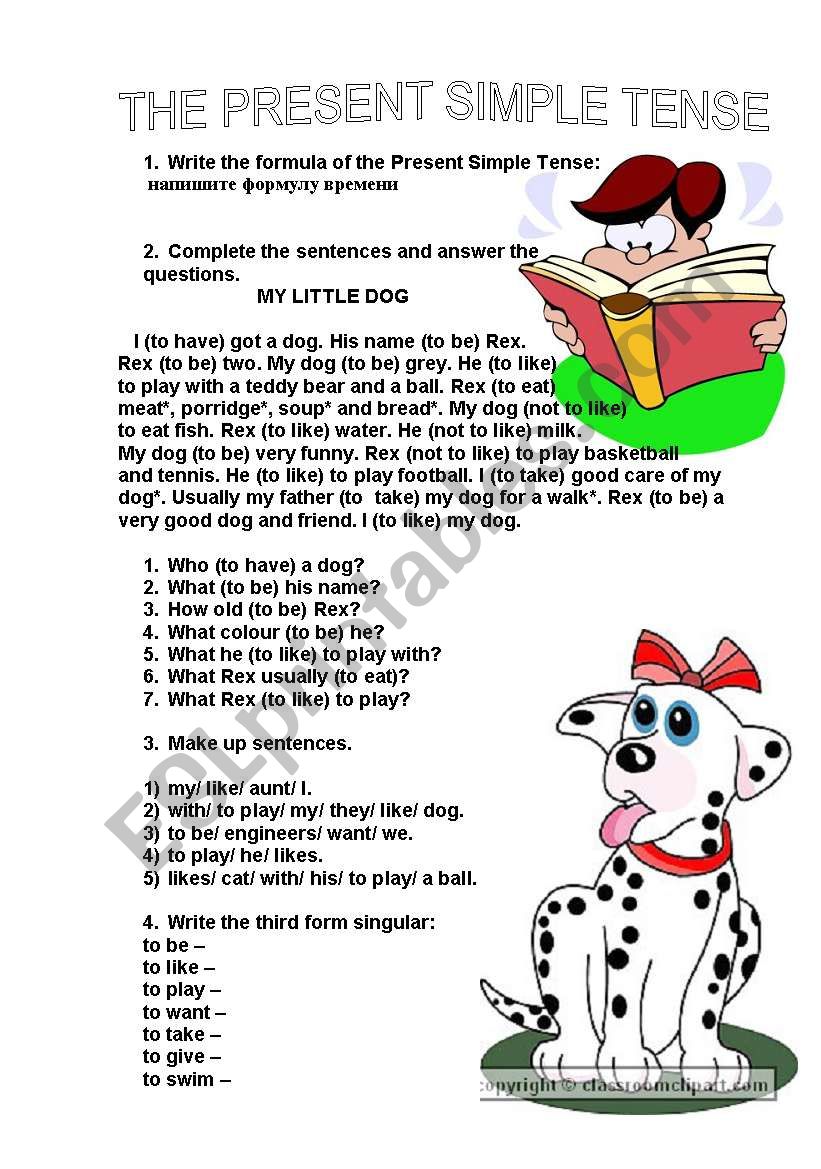 the present simple tense worksheet