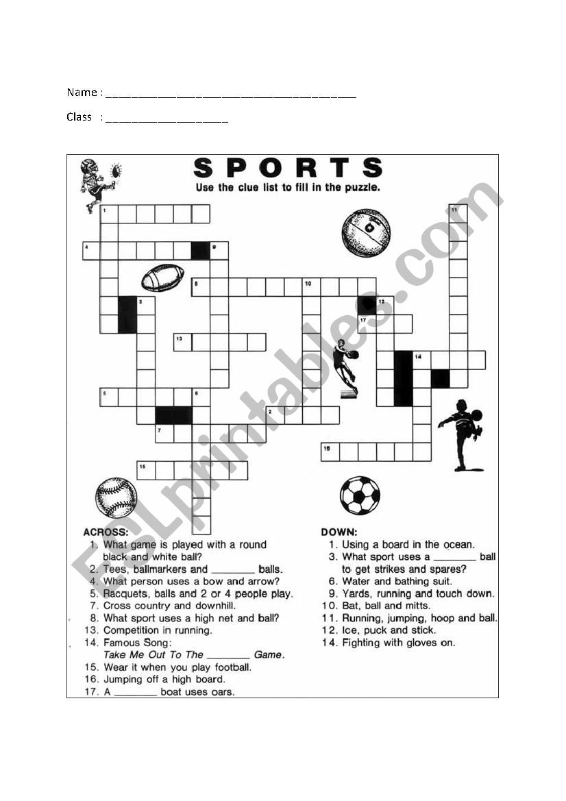 Sport crossword puzzle worksheet