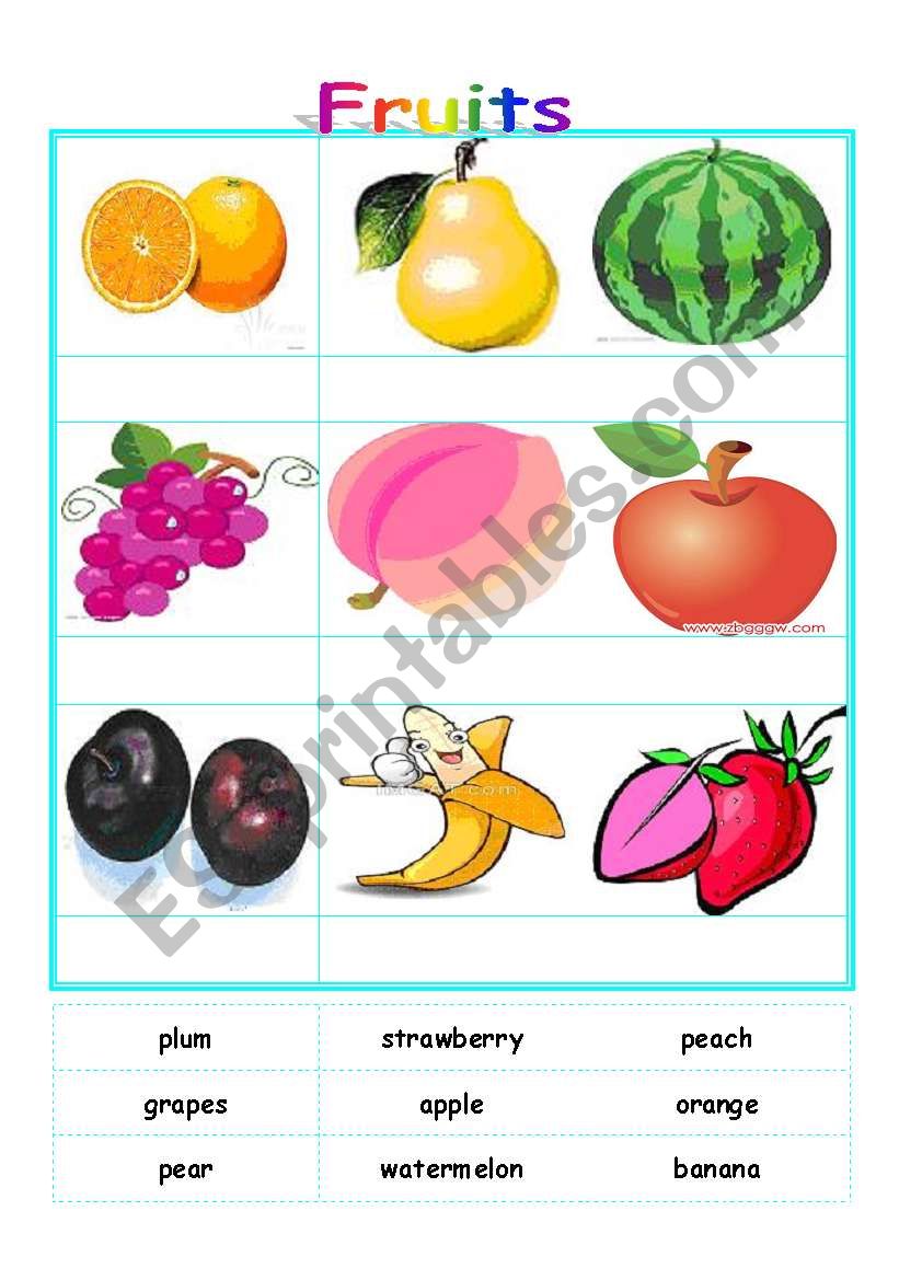 Fruit. worksheet