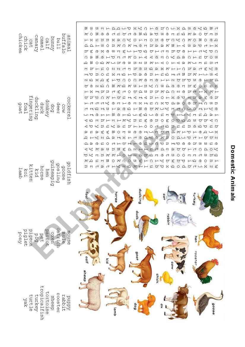 Domestic Animals Word Search worksheet