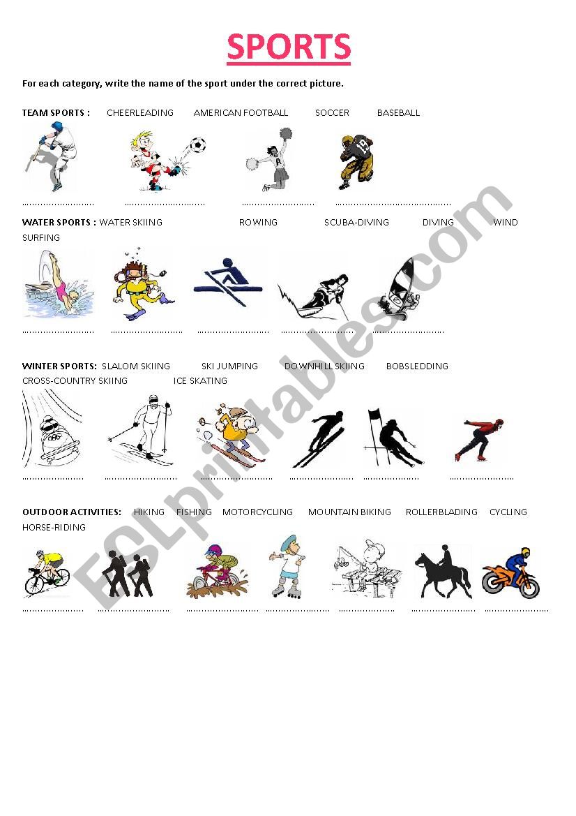 SPORTS worksheet