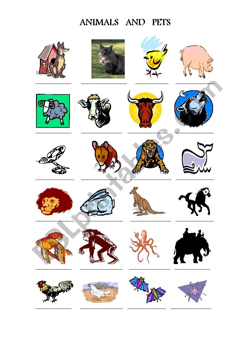 Animals and Pets worksheet