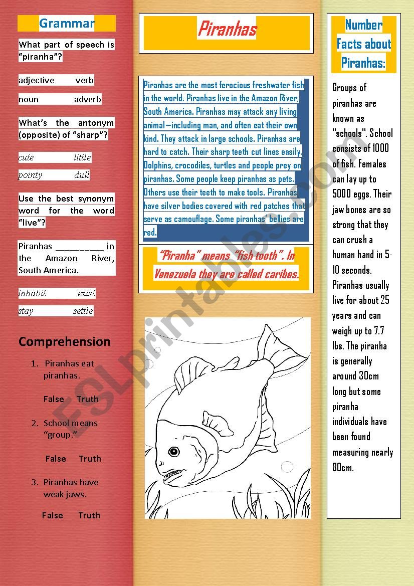 Piranhas worksheet