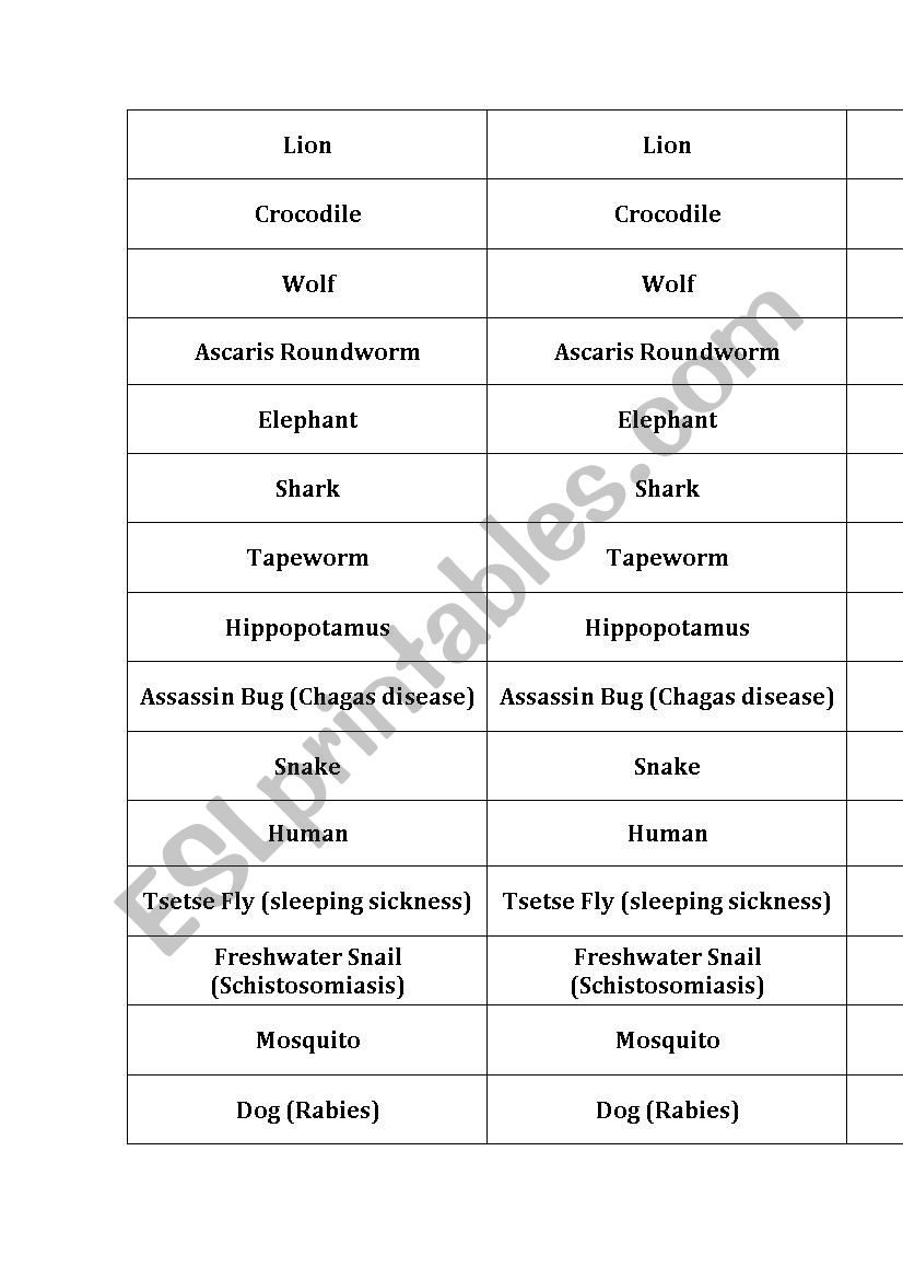 Deadliest Animals Warmer worksheet