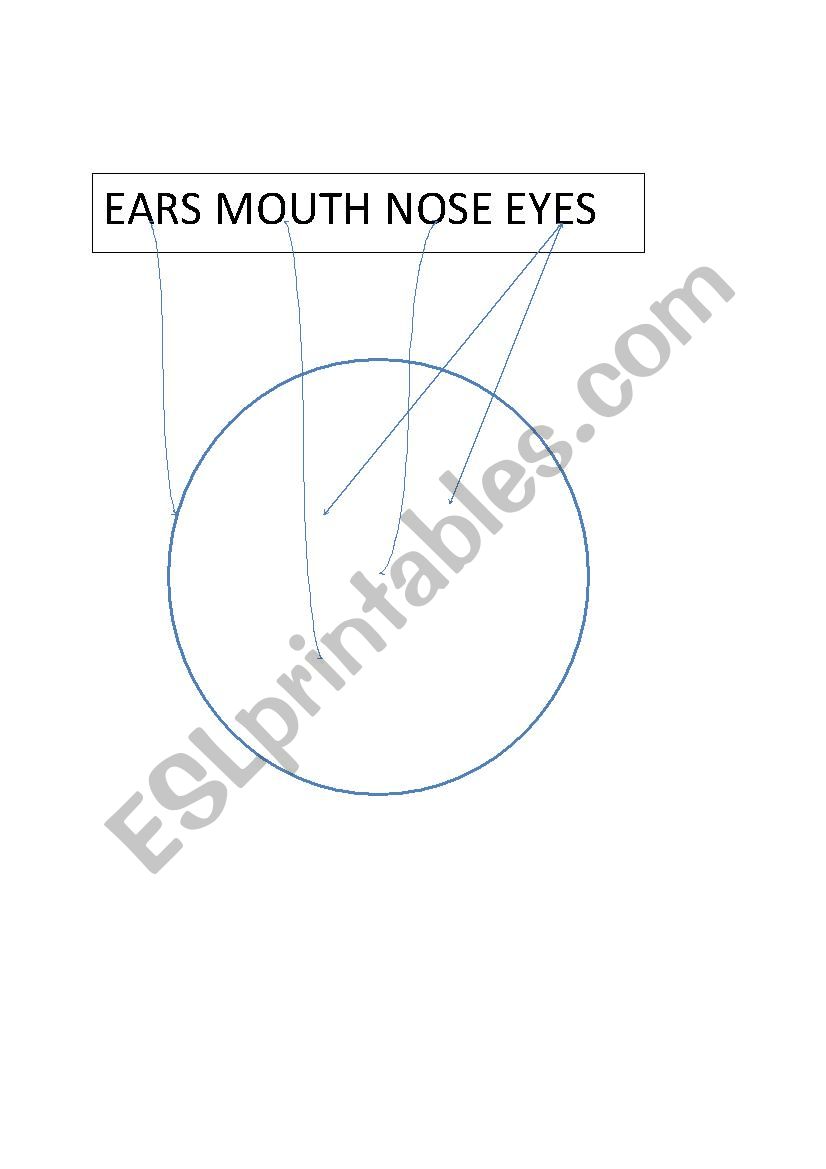 The face worksheet