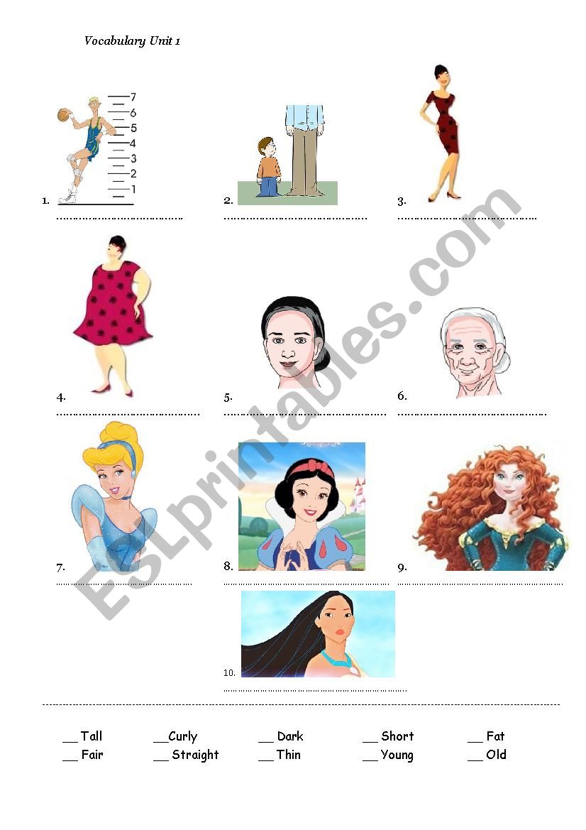 Vocabulary about adjectives worksheet