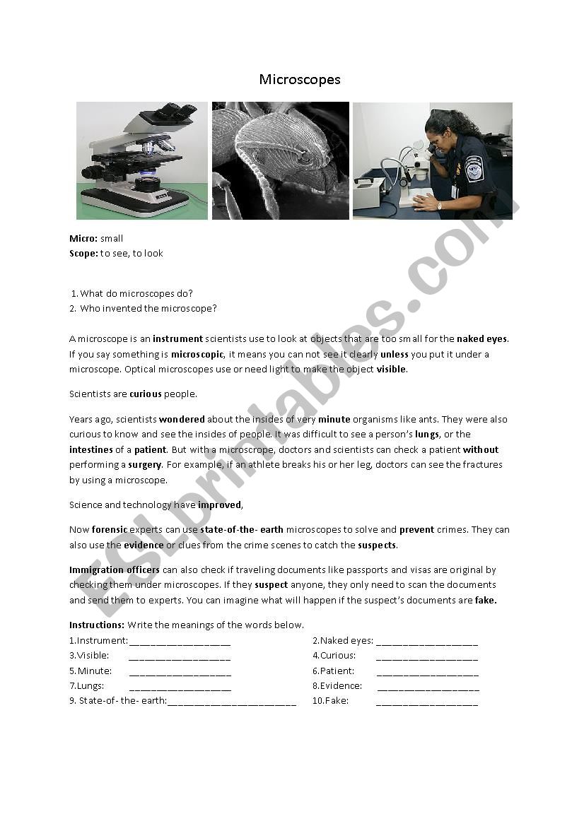 MICROSCOPES  worksheet