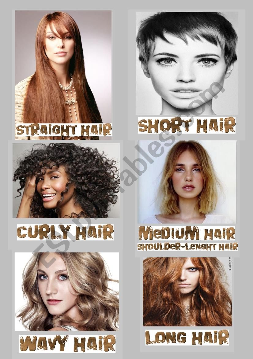 Hair2 worksheet