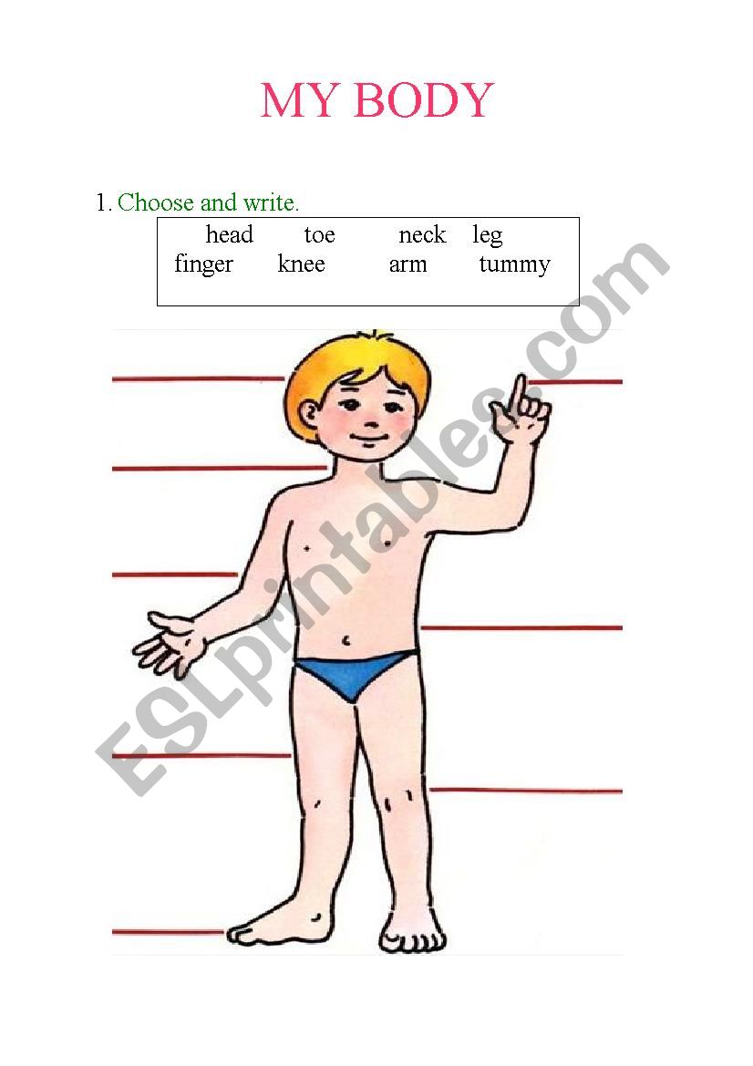PARTS OF THE BODY 2 worksheet