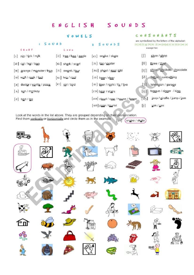 english sounds phonetic game worksheet