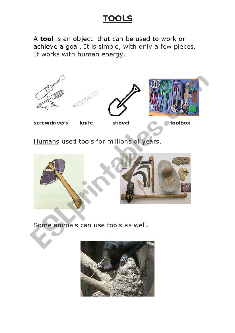 tools and machines worksheet