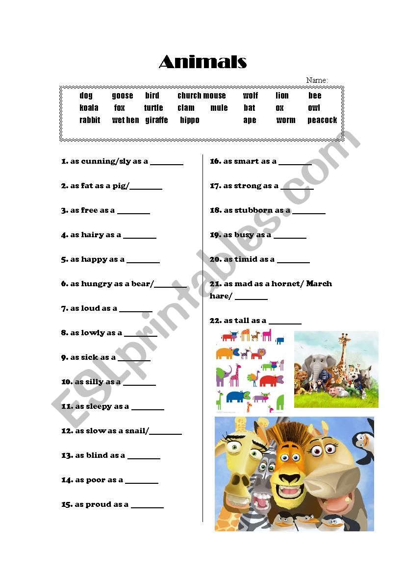 animal idioms worksheet