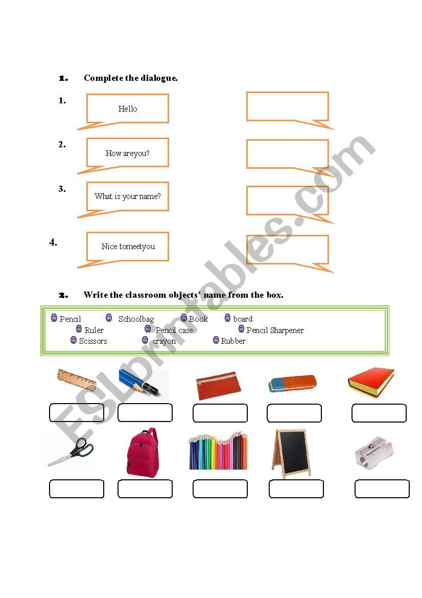 Quiz for the beginner worksheet