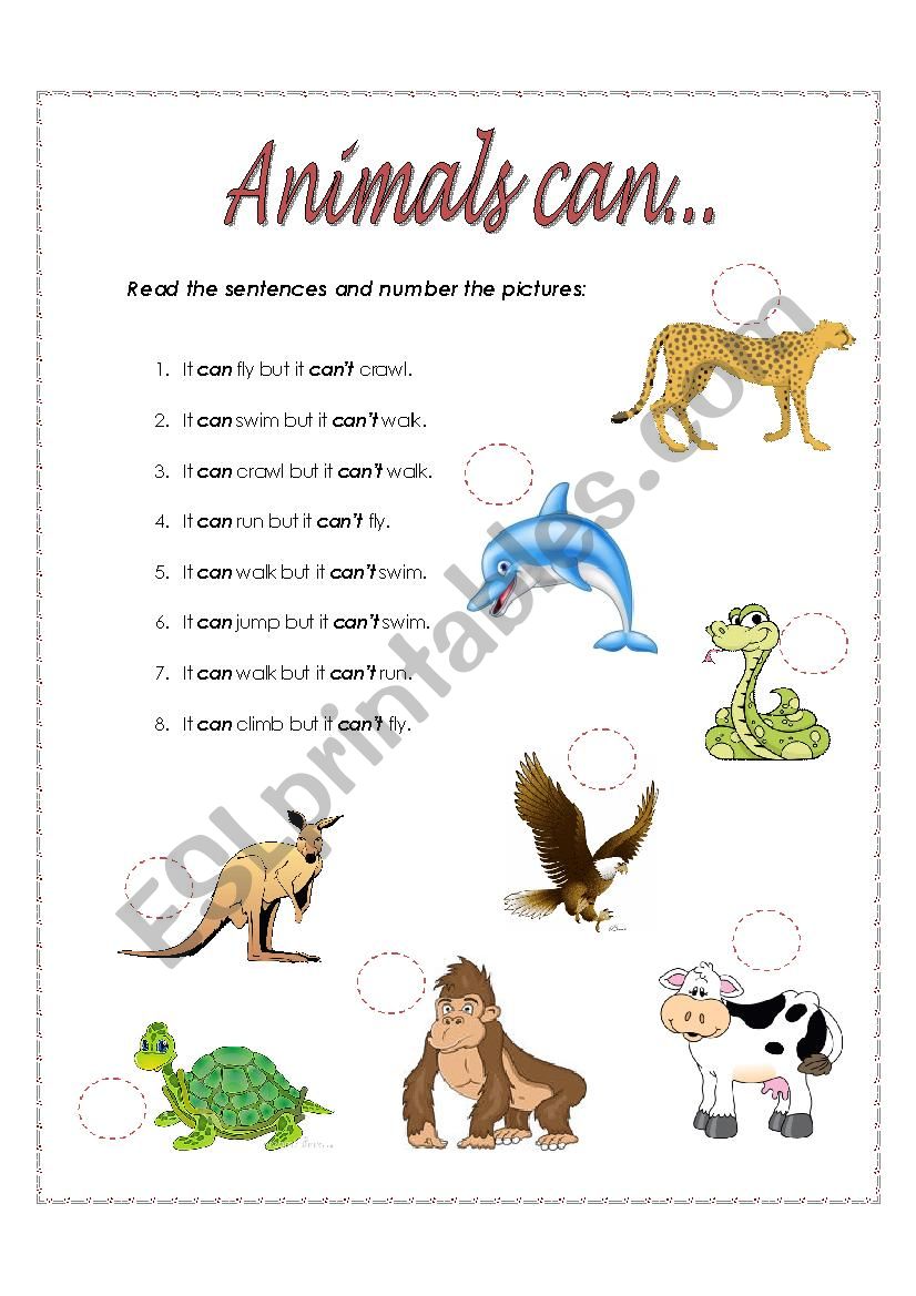 animals can... - ESL worksheet by roxya