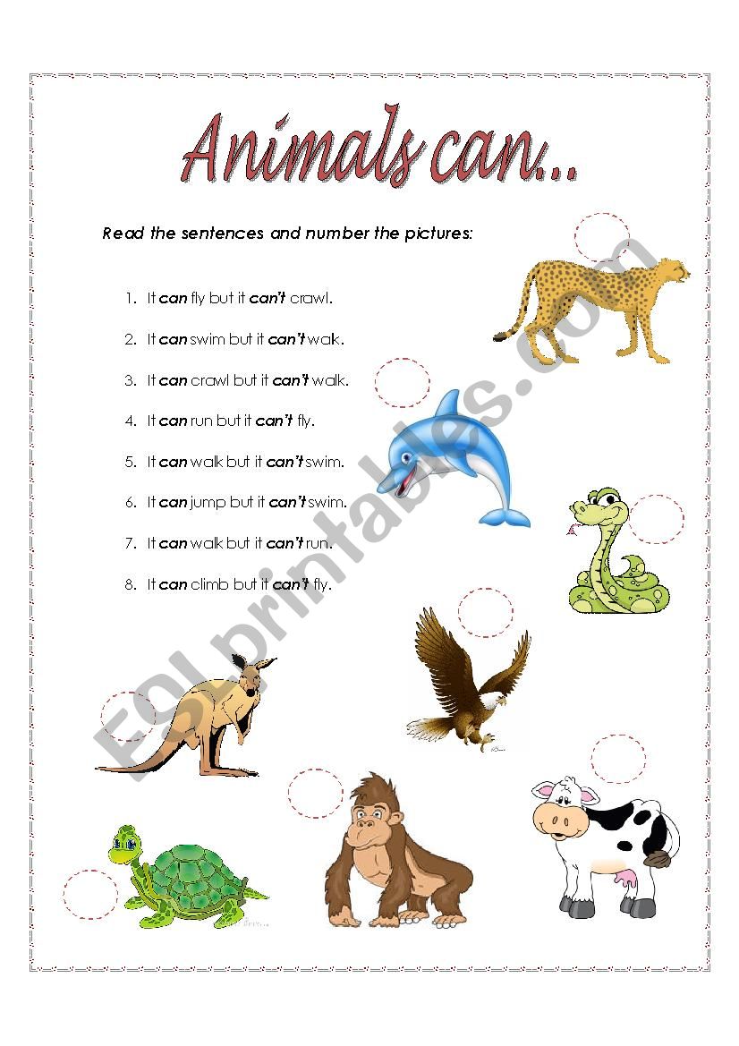 animals can... worksheet