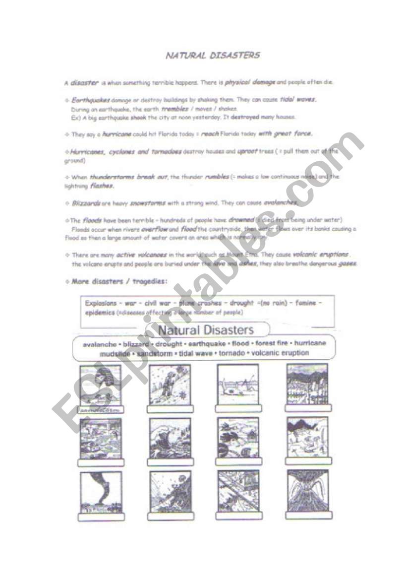 Natural disasters voc1 worksheet