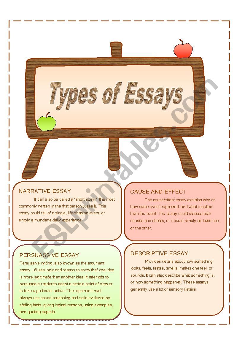 types of essays worksheet