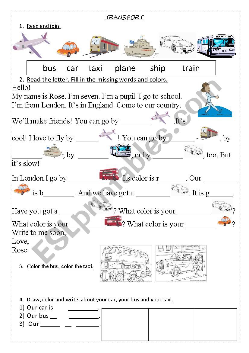 Transport worksheet