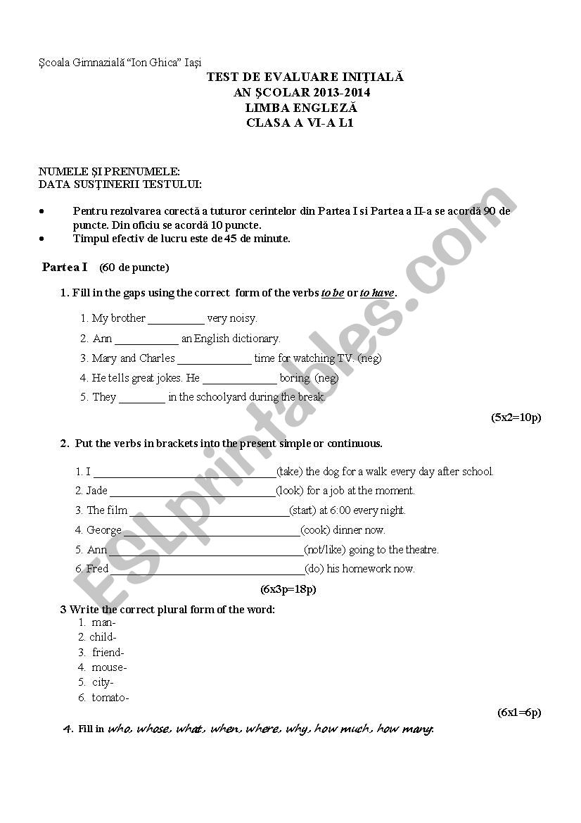 Initial Test 6th grade worksheet