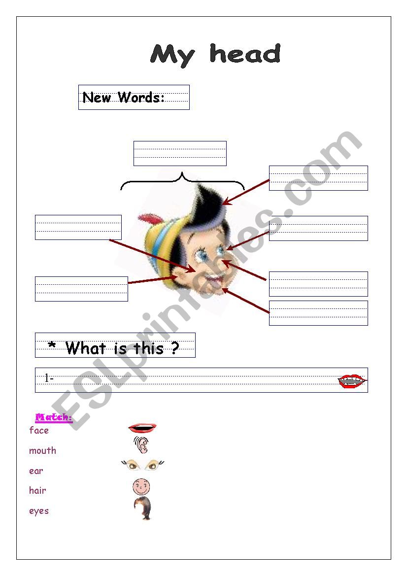 my head worksheet