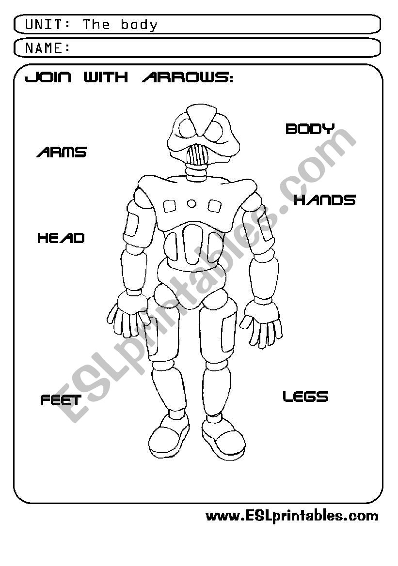 The body: join with arrows worksheet