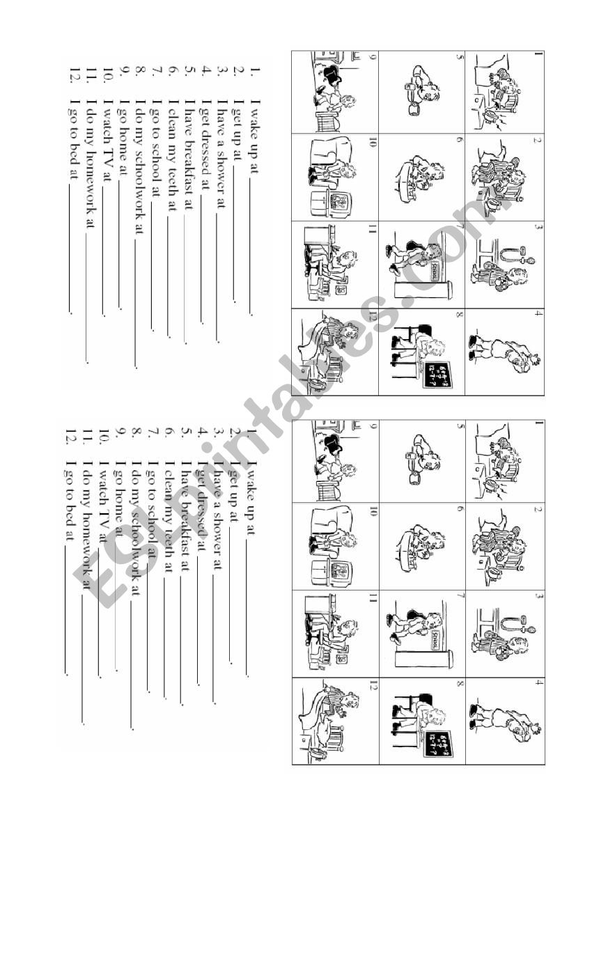 Daily routines worksheet