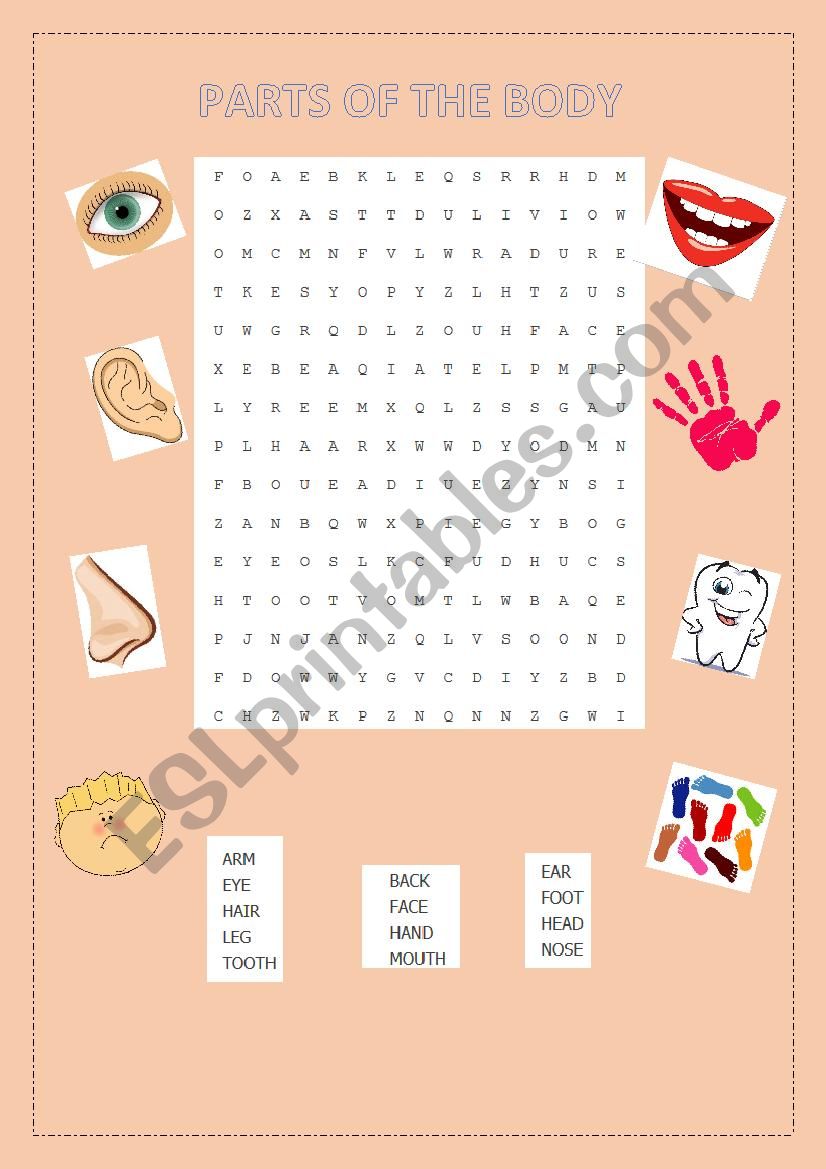 Parts of the body worksheet