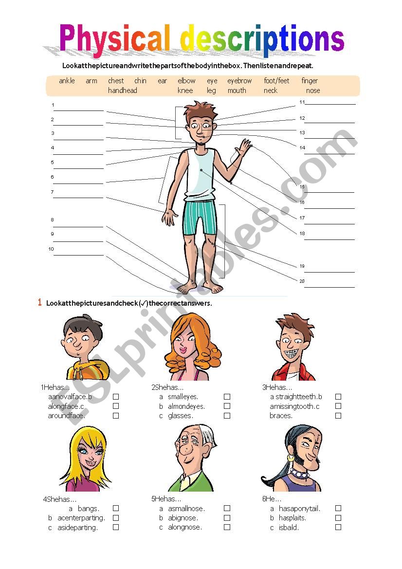 Parts of the body/ Physical descriptions